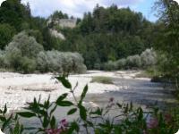 Les gorges de la Singine