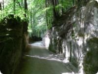 Chemin de Wissenbach