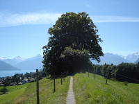 Der Weg