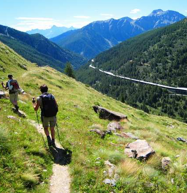 Via Francigena - Grand-St. Bernard - Rom -Petersdom - Camino Europe