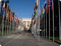 Palais de l'ONU