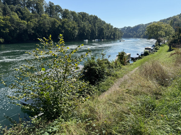 Foto Rhein bei Nohl